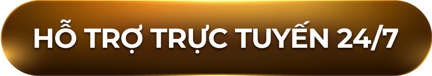 hỗ trợ trực tuyến
